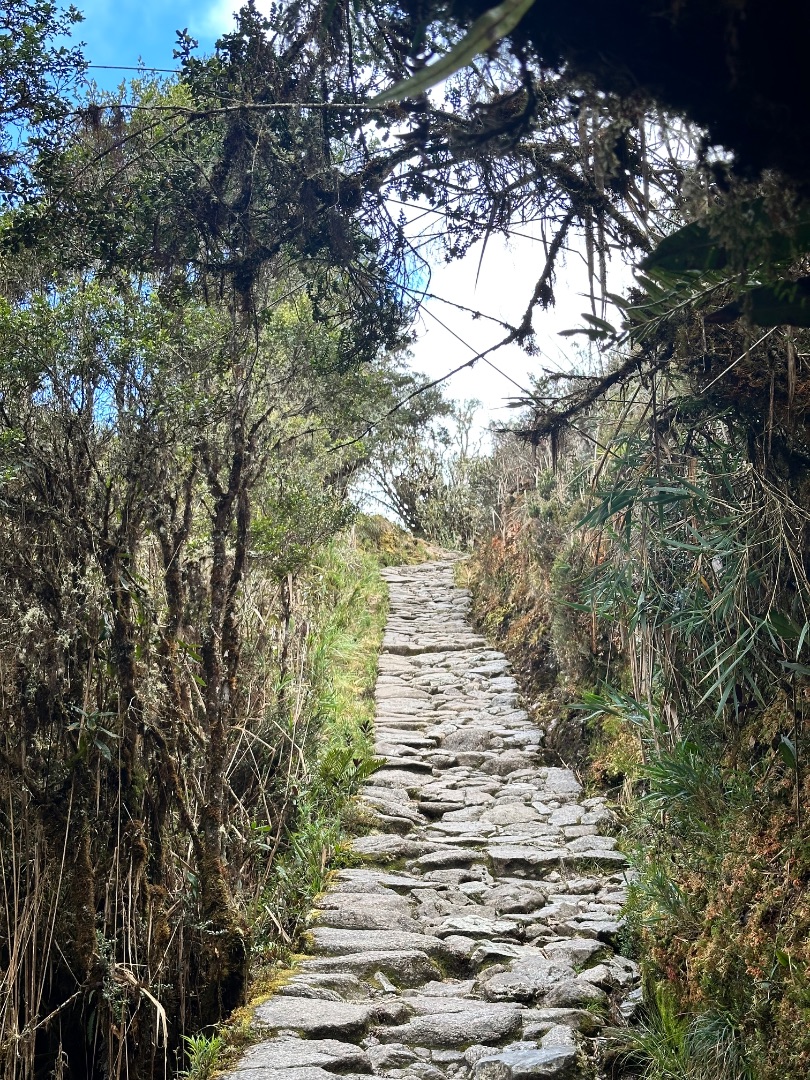 the stone path of the Inca trail